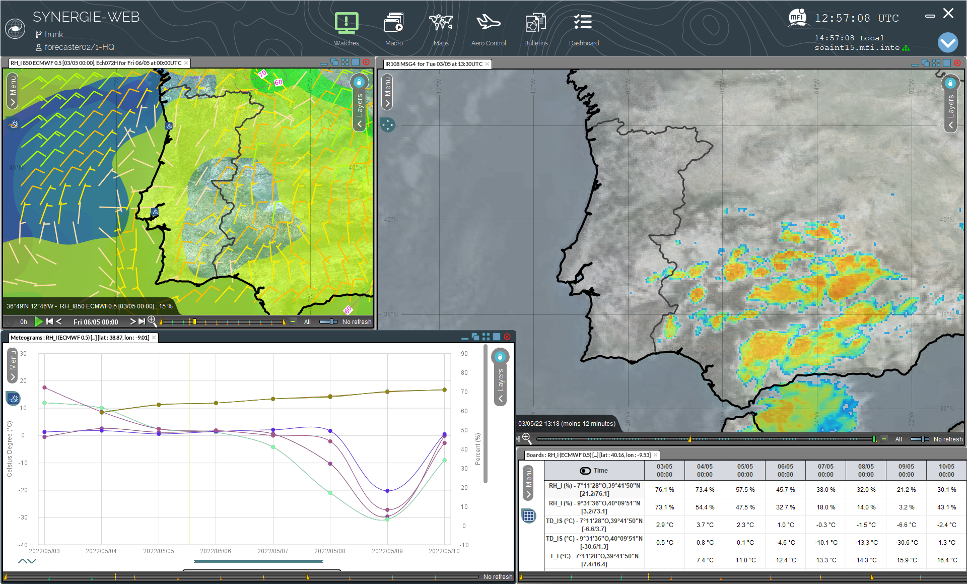 Meteo France International product